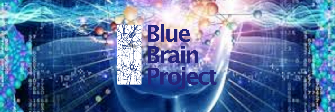 Brain project. Blue Brain Project. Брейн проект. Blue Brain. БРУ Брейн Проджект.